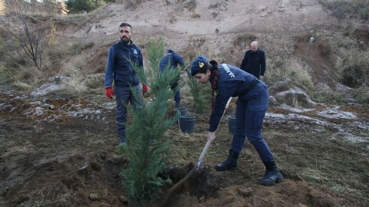 BİN 111 FİDAN TOPRAKLA BULUŞTU