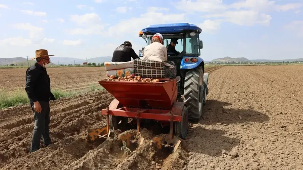 Patates sorunu büyüyor!!!