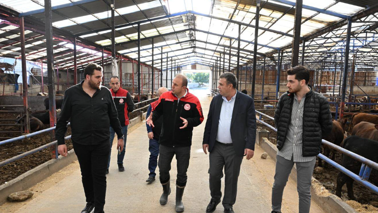 Kayseri’de hayvancılık işletmeleri incelendi