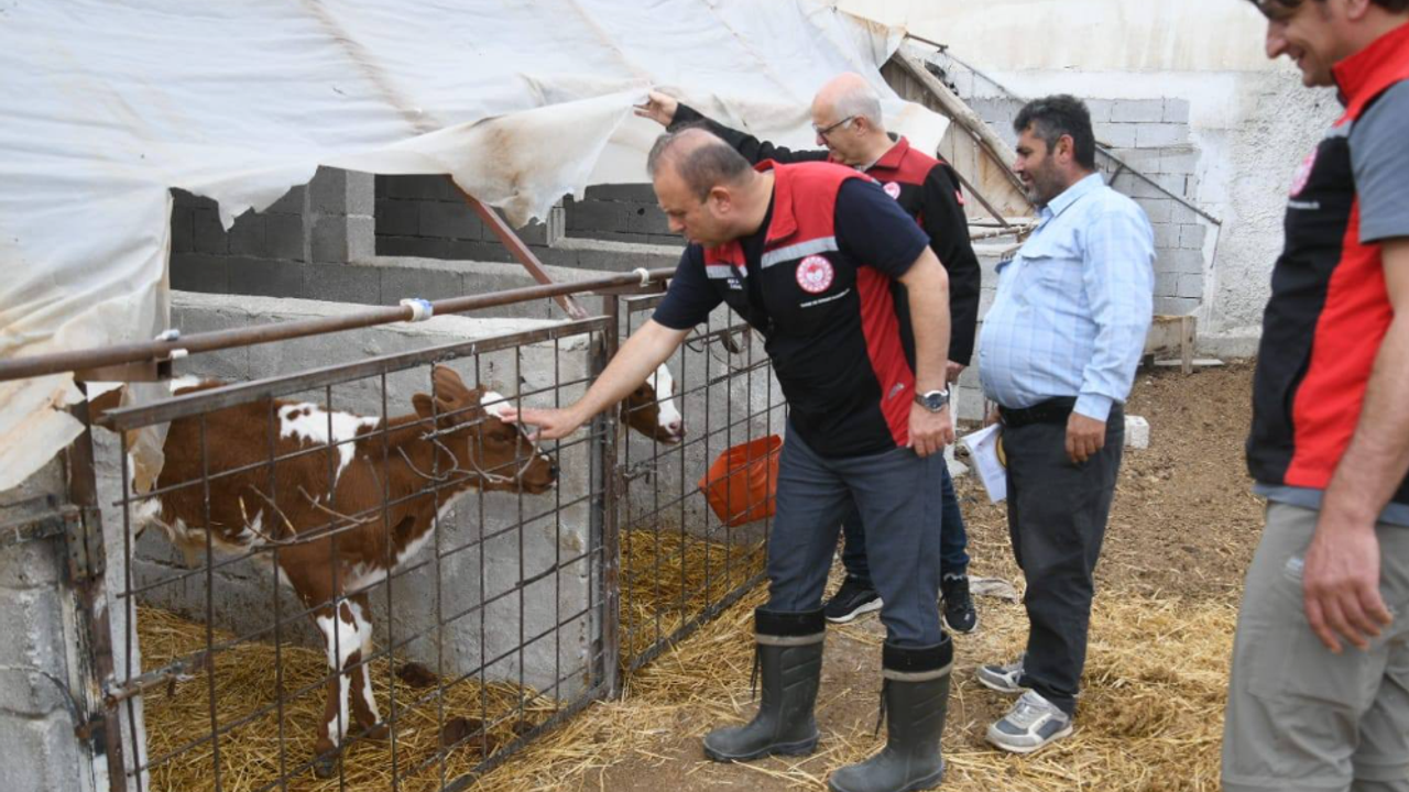 Kayseri’de Ari işletme sayısı artıyor