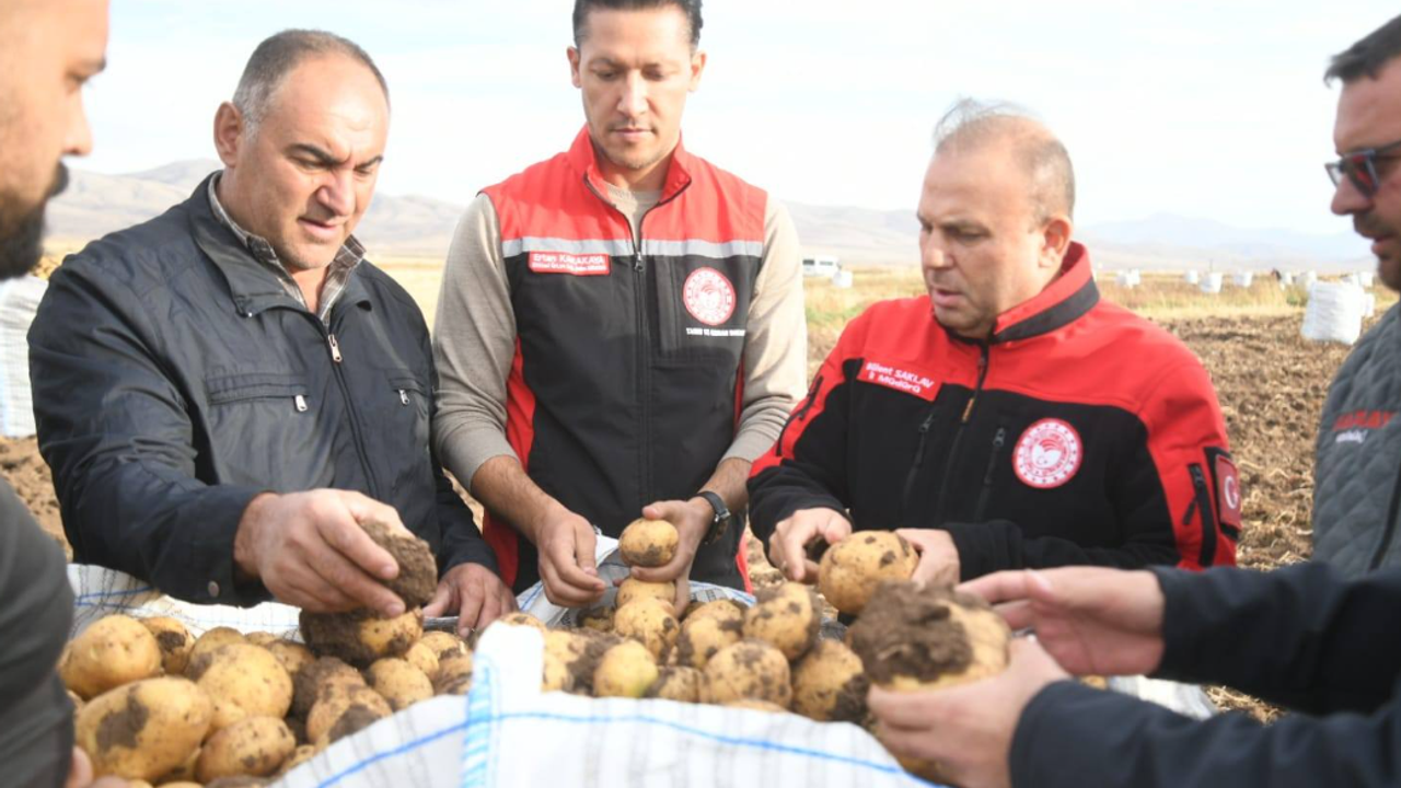 Kayseri Tomarza’da patates hasadı başladı