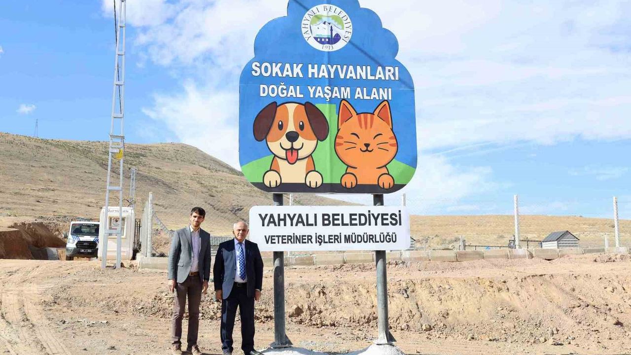 Sokak hayvanlarına doğal yaşam müjdesi