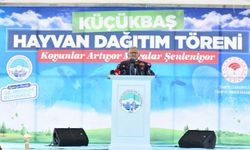 3 BİN 200 KÜÇÜKBAŞ HAYVAN 25 MAYIS’TA DAĞITILIYOR