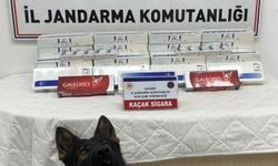 'YOLCU' SİGARA KAÇAKÇILIĞINA İZİN VERMEDİ