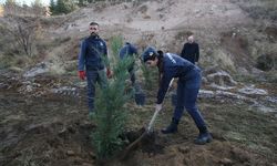 BİN 111 FİDAN TOPRAKLA BULUŞTU