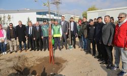 SEYRANİ KAMPÜSÜNDE BİNLERCE FİDAN TOPRAKLA BULUŞTU
