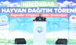 “TARIMSAL ÜRETİM ZİNCİRİNİN HER HALKASINDA YER ALDIK”