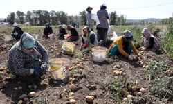 Tarım işçilerinin ücretleri belli oldu