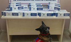 Bin 400 paket kaçak sigara yakalandı