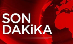 298 şüpheli terör örgütü mensubu yakalandı