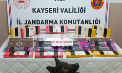 700 paket kaçak sigara yakalandı