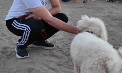 Kayseri’de Proteo Köpek Eğitim Parkuru Vatandaşlardan Tam Not Alıyor