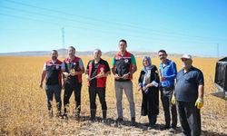 Kayseri’de Aspir Hasadı Başladı