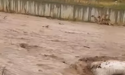 Başkan Eroğlu’ndan hızlı müdahale
