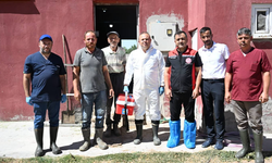 Şap aşısı uygulaması devam ediyor