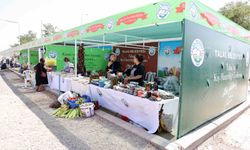 Talas’ta Salça, Turşu ve Konserve Geleneği Canlanıyor