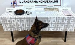 Jandarma’dan  operasyon