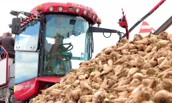 KAYSERİ’DE ÇİFTÇİNİN MERAKLA BEKLEDİĞİ ŞEKER PANCARI ALIM FİYATI AÇIKLANDI
