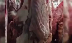 Kayseri Melikgazi’de 1,5 Ton Uygunsuz Et Ele Geçirildi
