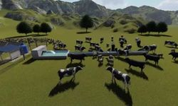 Kayseri Develi’de Hayvanlar ve Yaban Hayatı İçin Dev Sondaj Projesi