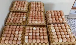 Yumurta Fiyatları Uçuşa Geçti