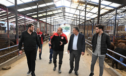 Kayseri’de hayvancılık işletmeleri incelendi