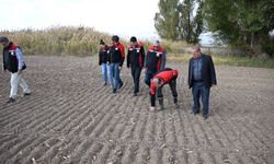 Kayseri’de Hububat Ekimi Öncesi Arazi İncelemesi