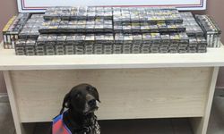 2 tırdan 560 paket kaçak sigara ele geçirildi