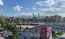 Kayseri Halinde Bu Hafta Fiyatlar Uçtu!