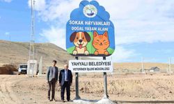 Sokak hayvanlarına doğal yaşam müjdesi