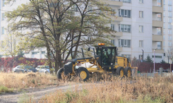 Mevlana'da 'Belediye Mahallemizde' hareketliliği