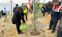 Ali Dağı’nın zirvesine 1111 fidan