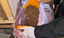 2 kardeş aynı pencereden atladı