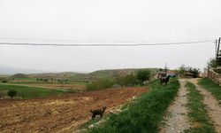 Tarım Sayımı Uyarısı!