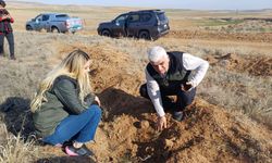 Sahalarda Yeşil Gelecek için incelemeler yapıldı