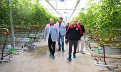 Saklav’dan jeotermal sera tesisine inceleme