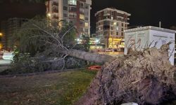 Kayseri’de Yarın Fırtına ve Kuvvetli Rüzgar Uyarısı