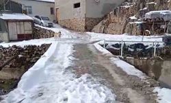 Korkuluksuz Köprü Tehlike Saçıyor