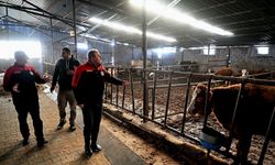 Kocasinan’da Hastalıktan Arı İşletmelere Denetim ve Belge Töreni