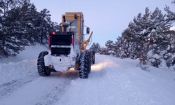 Belediye raporları yayımladı