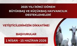 GÖZLER 1 NİSAN’DA!