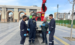 Yeşil alanlarda ilaçlama seferberliği başladı