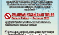 Kayseri'de Balık Avına Yasak Geldi!