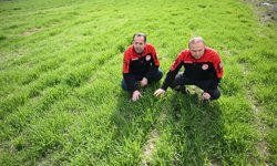 Kayseri’de Hububat Alanlarında Yakın Takip