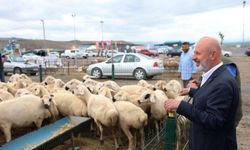 "Kurban hizmetinde öncü, Türkiye'de sayılı belediyeyiz"