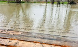 Kano merkezleri sular altında kaldı