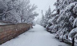 Nisan Ayında Yağan Kar Mahalleyi Beyaza Bürüdü