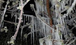 Kayseri’de Hava Alarmı: Yağış, Kar ve Don Etkili Olacak