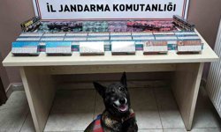 Kayseri'de Kaçakçılık Operasyonu