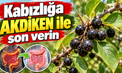 Akdiken Nedir, Ne İşe Yarar? Faydaları ve Zararları